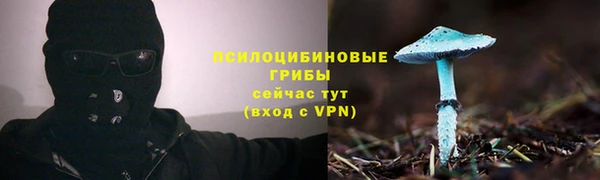 прущие грибы Остров