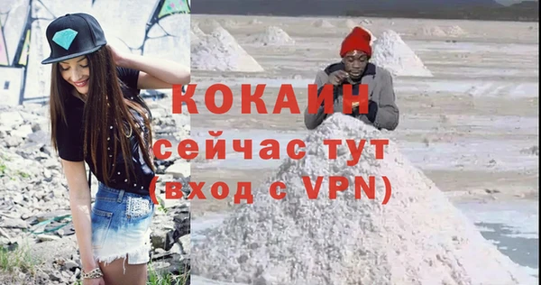 МДПВ Няндома
