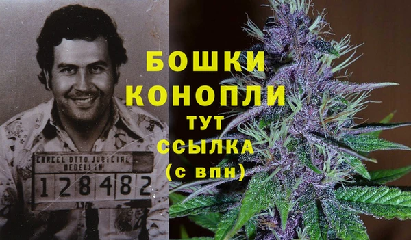 мяу мяу мука Осташков