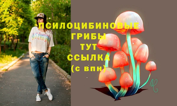 бутират Осинники