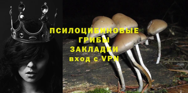 МДПВ Няндома