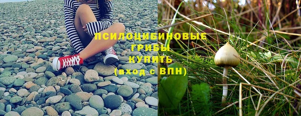 прущие грибы Остров
