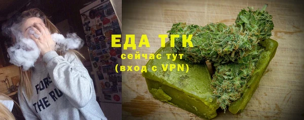 МДПВ Ельня