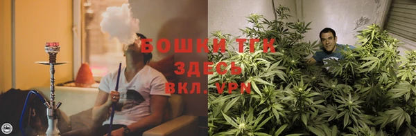 стаф Нягань