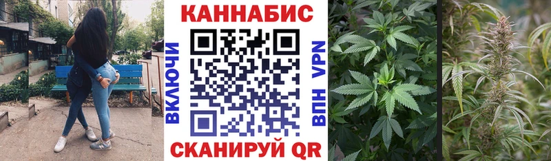 купить наркоту  Касли  даркнет какой сайт  Конопля ГИДРОПОН 
